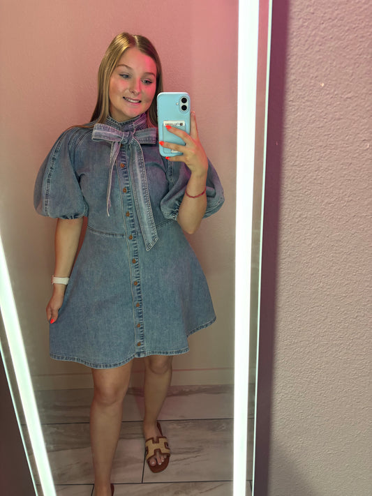 The Heather Mini Dress