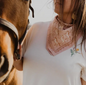 No.062 Horses Bandana